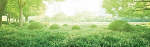 На «Острове мечты» будет самый большой посевной газон Москвы