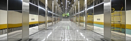 Колонны-«невидимки», рыбы и журавли украсили станцию метро «Косино»