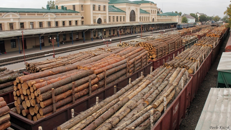 Рада разрешила вывоз дров, но ужесточила наказание за контрабанду