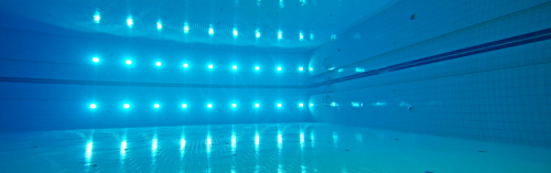 Самый глубокий бассейн и театр на воде: в Мневниковской пойме создадут спортивный кластер