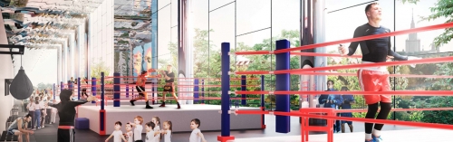 Зеркальные потолки и панели отражения установят в Центре самбо и бокса в Лужниках