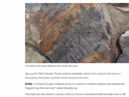Найдена окаменелость 50-килограмовой  многоножки – самого большого беспозвоночного в мире