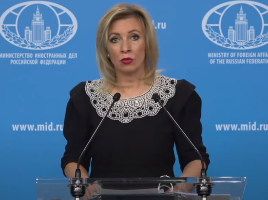 Мария Захарова назвала Украину «рассадником неонацизма» и «кузницей боевиков»