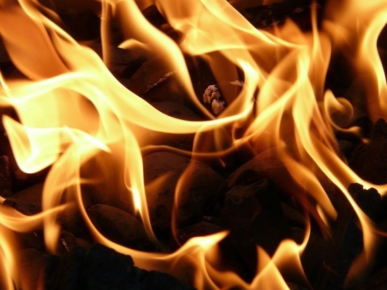 В Вологодской области при пожаре погибли двое детей