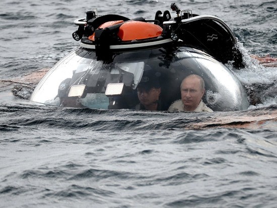 Путин запретил промышленный вылов дельфинов и китов