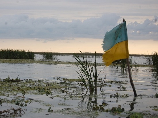 Украину сравнили с черепахой без панциря на оживленной трассе