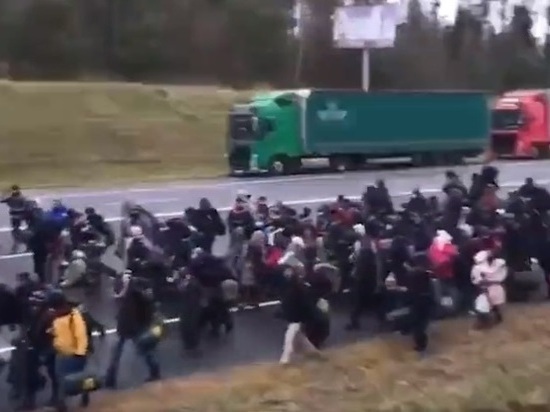 Раскрыта схема перевозки мигрантов из Белоруссии в Германию – РБК