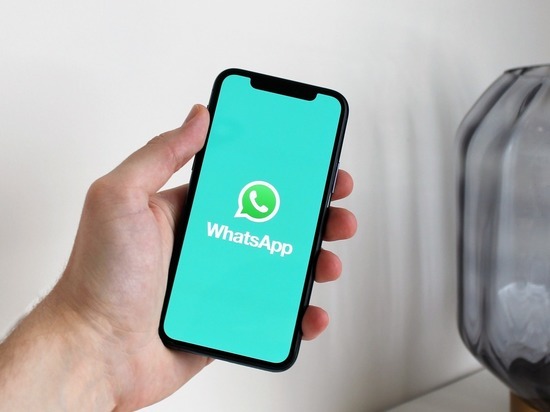 Общественная палата предложила запретить чиновникам пользоваться WhatsApp