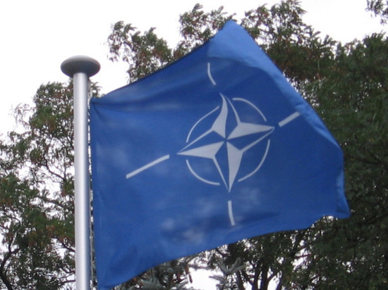 Чешский эксперт назвал единственный способ прекратить конфликт между Россией и НАТО