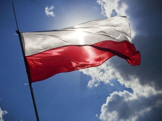 Польский депутат обвинил Евросоюз в стремлении свергнуть власти Польши
