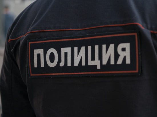 МВД: в России на четверть выросло число экстремистских преступлений