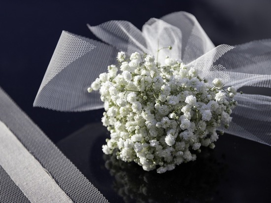 В Петербурге мошенники начали продавать "красивые" даты для свадьбы