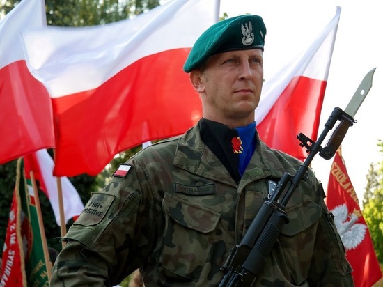 Польша рассматривает вопрос оказания военной помощи Украине