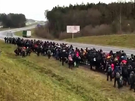 В правительстве Германии призвали принять мигрантов с польской границы