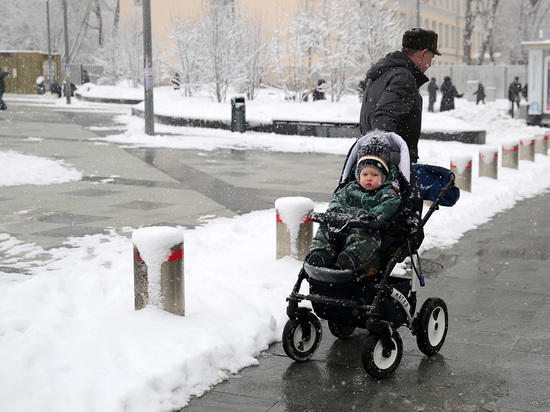 Москвичам пообещали плюсовые температуры и мокрый снег