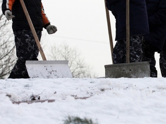 При уборке снега на Васильевском острове похитили более 1 млн рублей