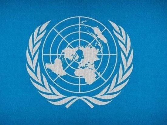 Экстренное заседание СБ ООН по Украине назначено на 5 утра