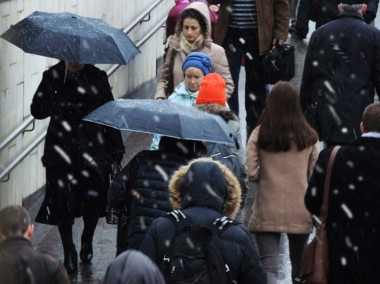Москвичей предупредили о сильном ветре и дожде со снегом