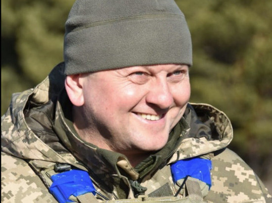 Главком ВСУ: у Киева нет планов о вводе военных в Крым и Донбасс
