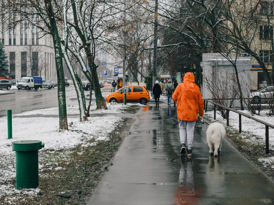 Москве пообещали скорую оттепель