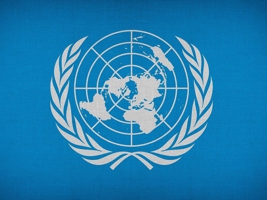 В ООН призвали немедленно прекратить огонь на востоке Украины