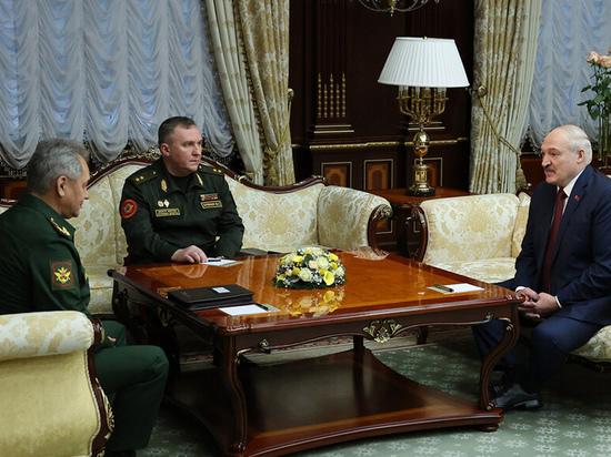 Лукашенко рассказал Шойгу об интересе к российской военной технике
